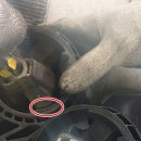 오토오아시스 일산그린점 이미지