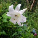 엄광산임도 이미지