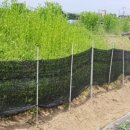 주홍농장 이미지