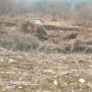 상천리보건진료소 이미지