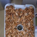 선택농장 이미지