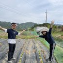 원주농협 자재센터 이미지