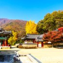 지리산 티스토리