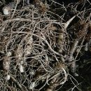 용추사위 이미지