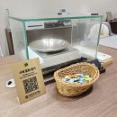 부천농업협동조합 | 부천 금거래소 금은방 추천 선물용 순금 팔찌 구매한 국제표준금거래소 부천점