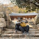 스테이더몽 | [하동] 쌍계사 겨울 템플스테이 휴식형 후기 (별맛집)