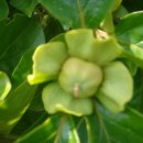 우리집농장 이미지