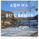 별꽃포레스트 눈썰매 후기｜고기 구워먹고 아이랑 겨울 나들이 딱 좋은 곳