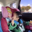 연정농장 이미지