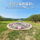 국립서울현충원 공원 산책, 현충일 전 봉사활동 후기(ft. 식당)