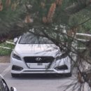 (주)광장오토모티브 | 2025 도요타 캠리 하이브리드 시승기(도요타 페어링 드라이브)