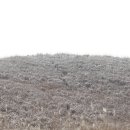 제주의사계 이미지