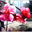 은혜병원 이미지