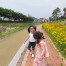 홍성천길 이미지