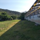 향림동산(흑염소농장) 이미지