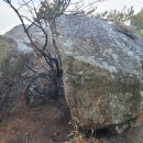 ★사리마을(법성사) - ▲영축산(영취산) - 사리마을(법성사) 3 이미지