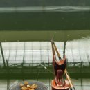 농촌지 낚시터 이미지