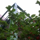 바다위 산아래 이미지