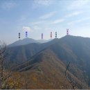지용산인 티스토리