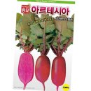 샐러립 이미지