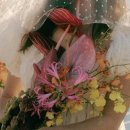 해피베이비 이미지