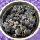 왕방폭포수농원 이미지