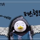테스형