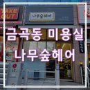 나무숲헤어