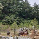 대소원면사무소 이미지