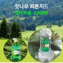 (주)피러스 이미지