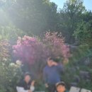 세솔서영하우스 이미지