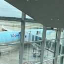 라운지671 | 말레이시아 출장 : 대한항공 KE671 ICN - KUL / MH11194 KUL - PEN 탑승기 & 마티나 라운지 후기