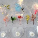 캘리그라피로 배우는 소품공예 이미지