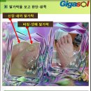 발가락의 역할~~ 걷기 운동도 못할 정도로 발에 문제가 생겨 이미지