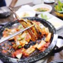 진동돌장어 이미지