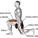 해부학적운동 성내점 이미지