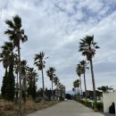 가시버시 민박 이미지