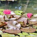 양서친환경도서관 앞 이미지