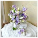 시크모어 웰니스 스튜디오 | 천안꽃집 감성 탐방기, 모어댄플라워 천안성성점 그리고 성성동꽃집의 밤