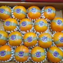 김종옥농장 이미지