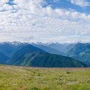 시애틀공원 이미지