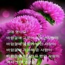 소은 - 진주시 진주대로 988 | 소은