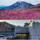 백곰노래연습장 | 대구 달성 호텔/호텔아젤리아(비슬산유스호스텔)