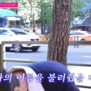 설레인 이미지