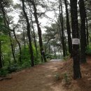 연성대부속유치원 이미지