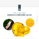 소나무세탁소 티스토리