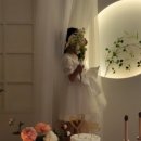 풀그리다 이미지