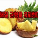 파인애플