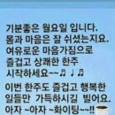 또바기님 이미지