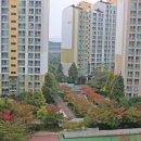 상갈초교사거리-상갈금화4단지 403동 앞 | 가을아침